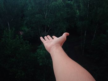 Cropped image of hands against trees