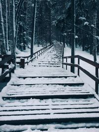 Snow covered walkway in winter