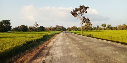 Empty road amidst trees on field against sky