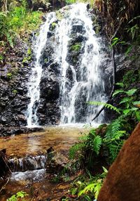 Close-up of water drops on tree