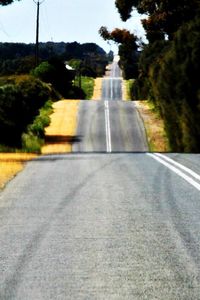 Road along trees