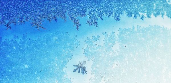 Low angle view of birds flying over frozen lake against sky