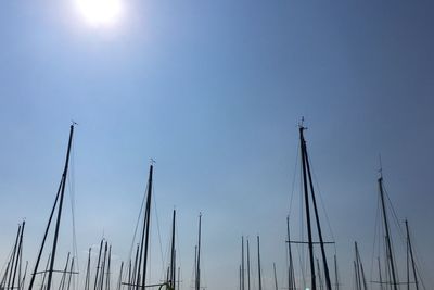 Low angle view of trees against clear blue sky