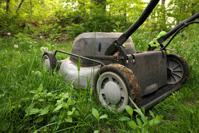 Low angle close-up lawnmower cutting long grass or concept of not cutting to help bees pollinators