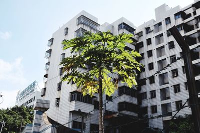 Low angle view of modern office building