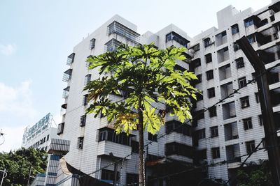 Low angle view of modern office building