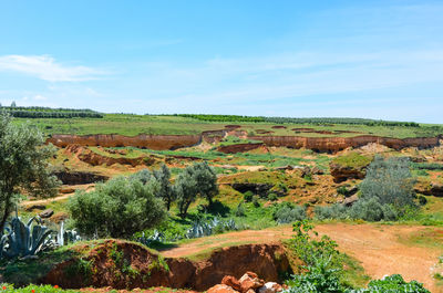 Scenic view of landscape against sky