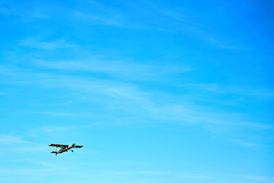 Low angle view of airplane flying against blue sky