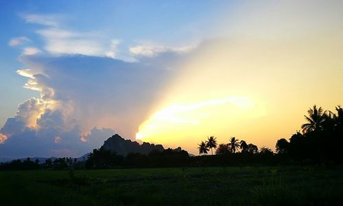 Scenic view of field against sky during sunset