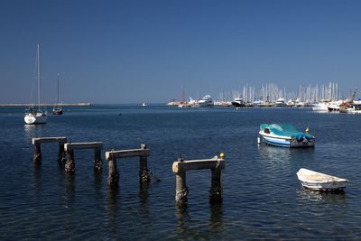 Sailboats moored in harbor