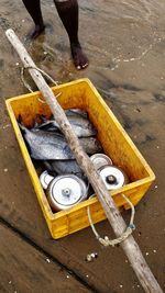 Low section of man standing by fishes at beach