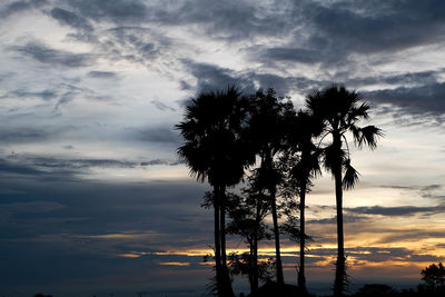 Low angle view of silhouette trees against sky during sunset