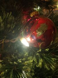 Illuminated christmas tree at night