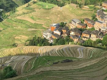 High angle view of agricultural field