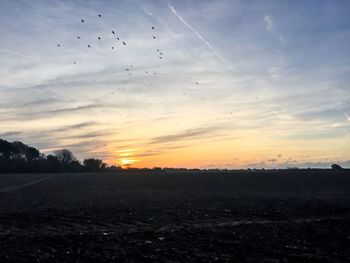 Silhouette birds flying over landscape against sky during sunset