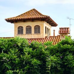 House and building against sky