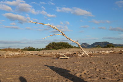 Surface level of sand on beach against sky