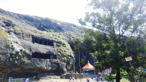 Trees by mountain against sky