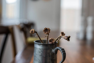 Close-up of flower pot on potted plant