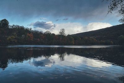 Reflection of trees in lake