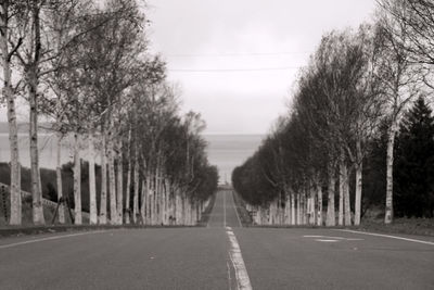 Empty road along trees