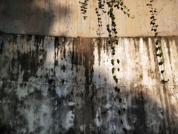 Full frame shot of weathered wall