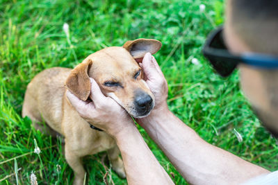 Owner holding dog's face in hands with great love and care.