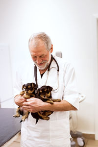 Smiling senior vet holding two puppies in clinic