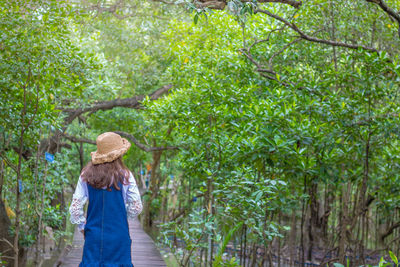 Rear view of woman standing on boardwalk in forest