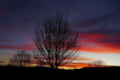 Silhouette bare tree on field against sky at sunset