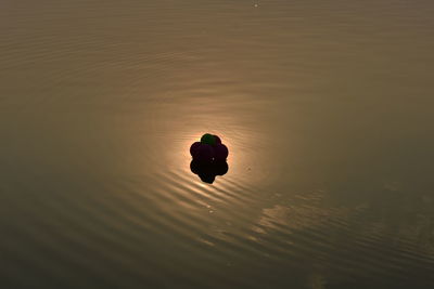 High angle view of silhouette duck swimming in lake