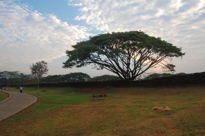 Scenic view of grassy field against cloudy sky