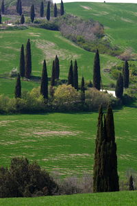 Scenic view of land against sky