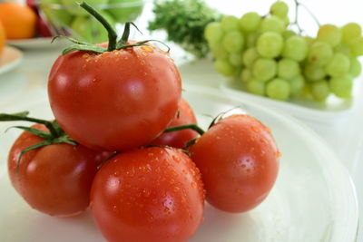 Close-up of tomatoes in plate