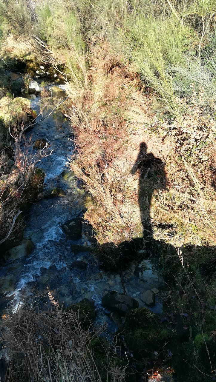 HIGH ANGLE VIEW OF WATER FLOWING THROUGH ROCKS ON LAND