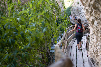 Side view of woman on plants