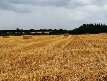 Hay bales on field against sky