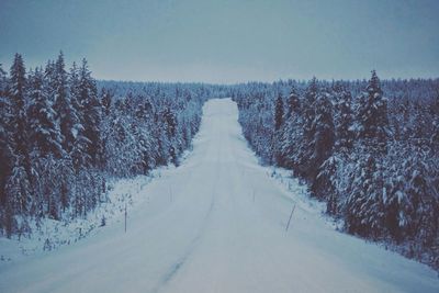 Snow covered road along trees