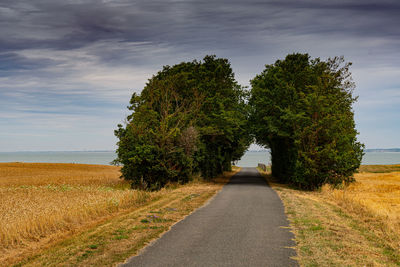 Road amidst trees on field against sky