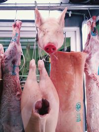 Pigs hanging in slaughterhouse