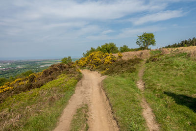 Road amidst plants and trees against sky