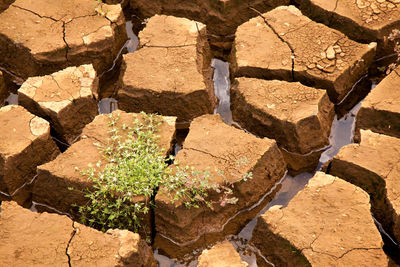 High angle view of rocks in desert