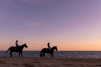 People riding horse on beach against sky during sunset