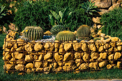 Stack of rocks on field