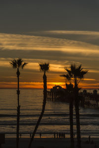 Silhouette of palm trees on beach during sunset