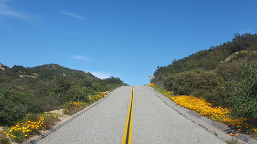 Road amidst trees against clear blue sky