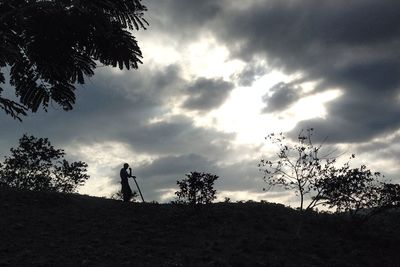 Low angle view of trees against cloudy sky