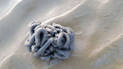 High angle view of rope tied up on sand