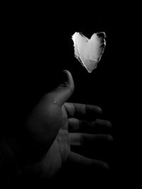 Close-up of hand holding flower against black background