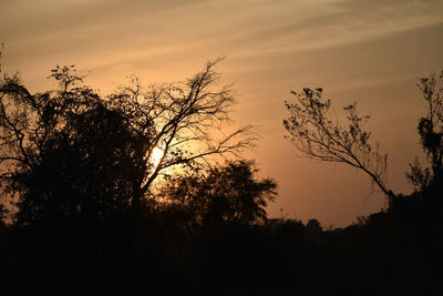 Low angle view of silhouette trees against sky during sunset